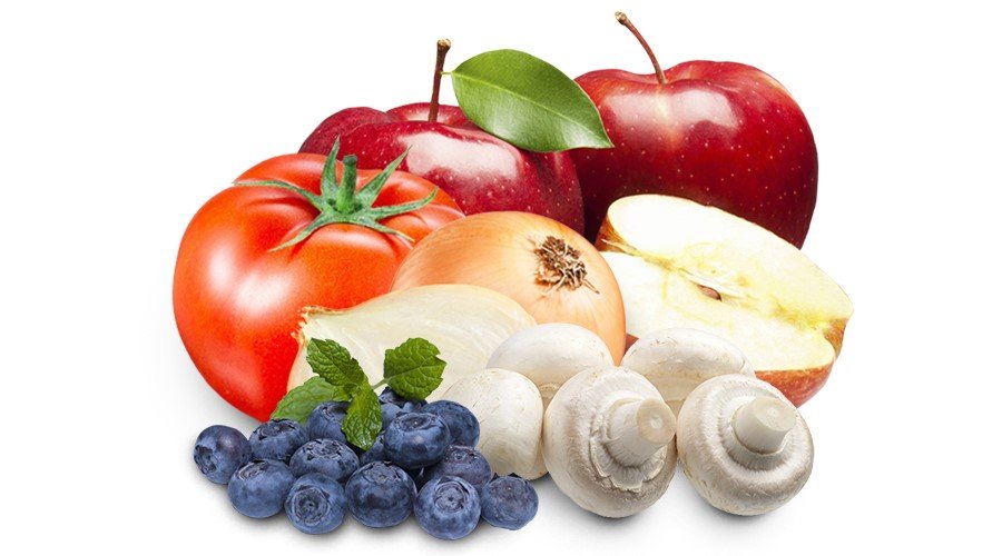 Čerstvé, blanšírované, pasterizované a sterilizované huby - nákup a predaj - Poľsko 02