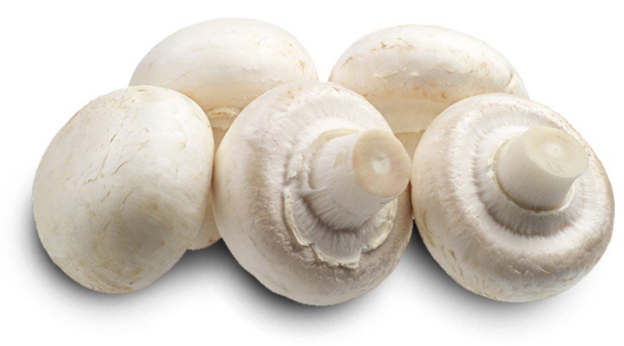 Čerstvé, blanšírované, pasterizované a sterilizované huby - nákup a predaj - Poľsko 04