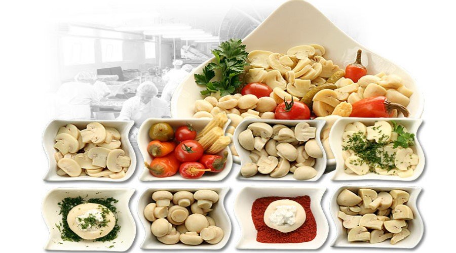 Čerstvé, blanšírované, pasterizované a sterilizované huby - nákup a predaj - Poľsko 04